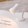 Mini LED Light Fixture Small Lamp