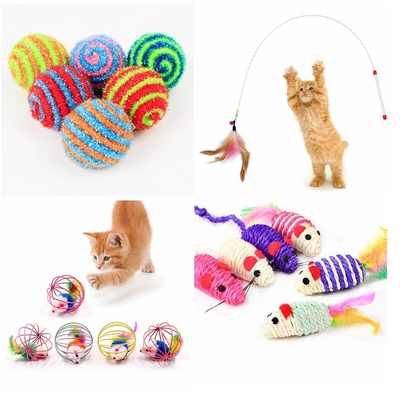 Cat Teaser Toy