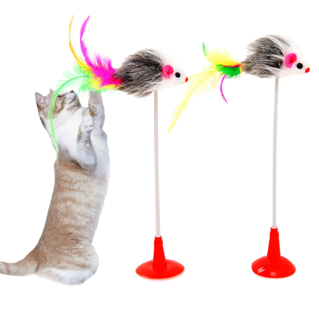 Cat Teaser Toy