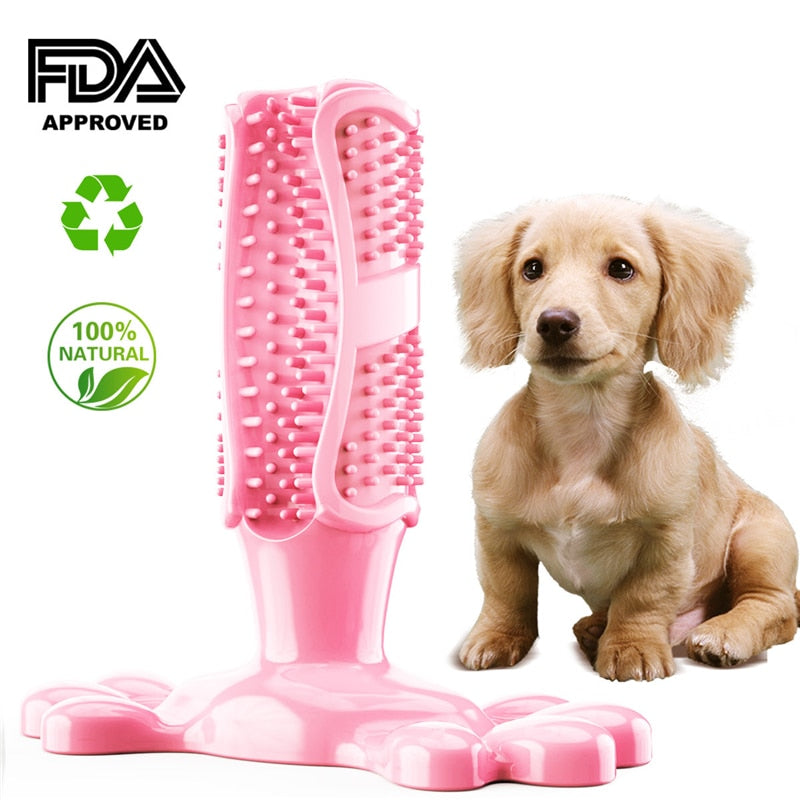 Dog Cactus Rubber Chew Toys