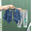 Laden Sie das Bild in den Galerie-Viewer, New Baby Hoody +jeans Clothing Set