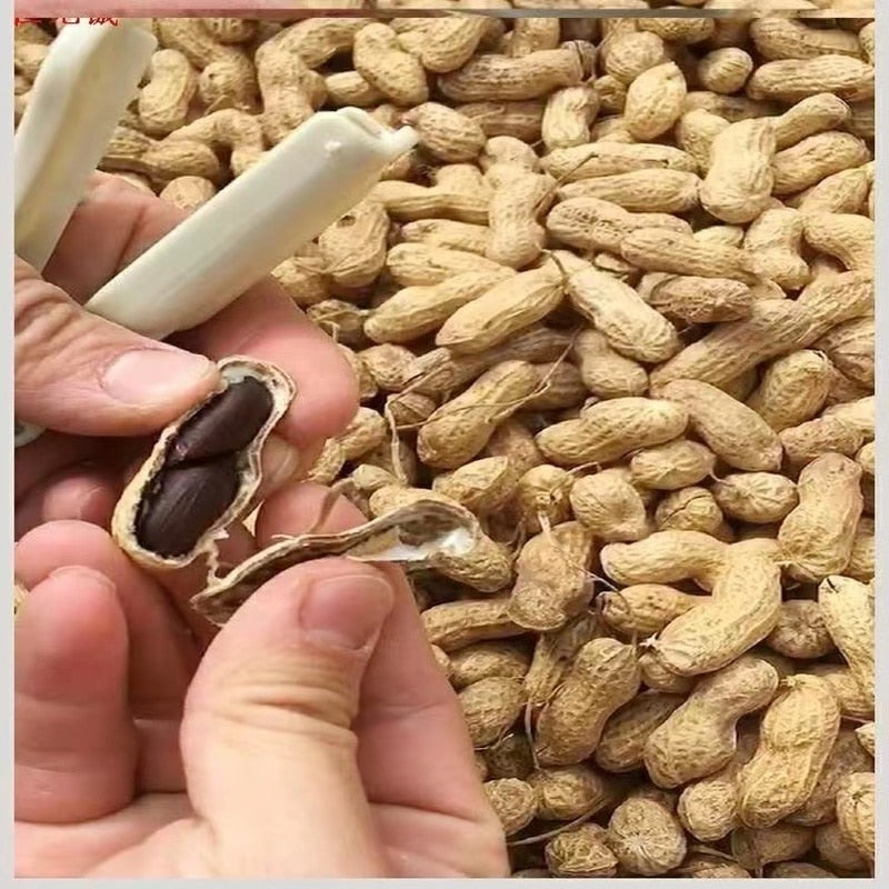 Multifunction Nut Peeling Tool