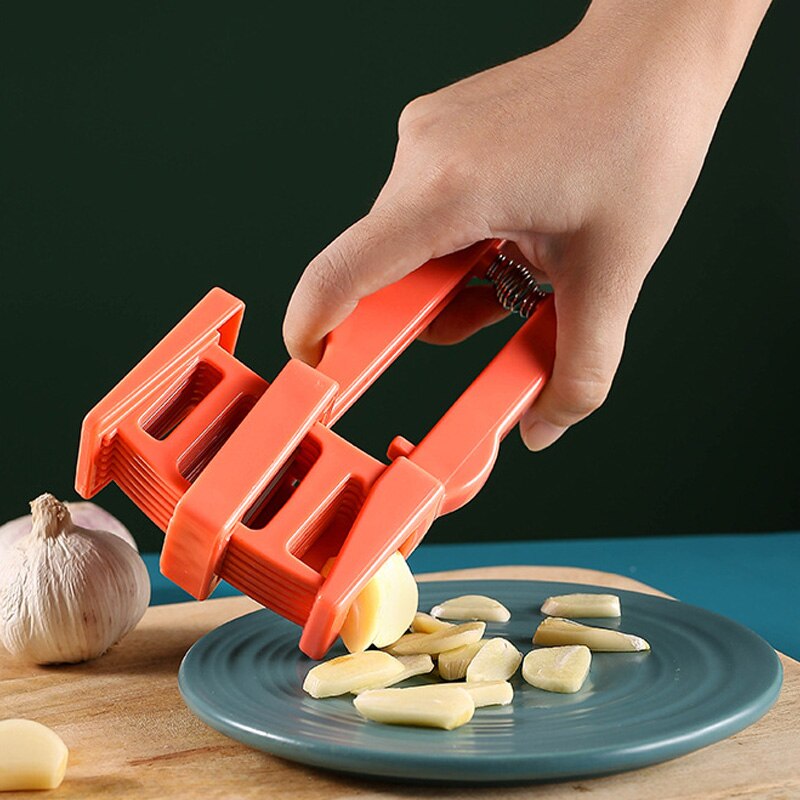 Kitchen Garlic Press Slicer