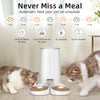 Load image into Gallery viewer, Automatic Cat Feeder