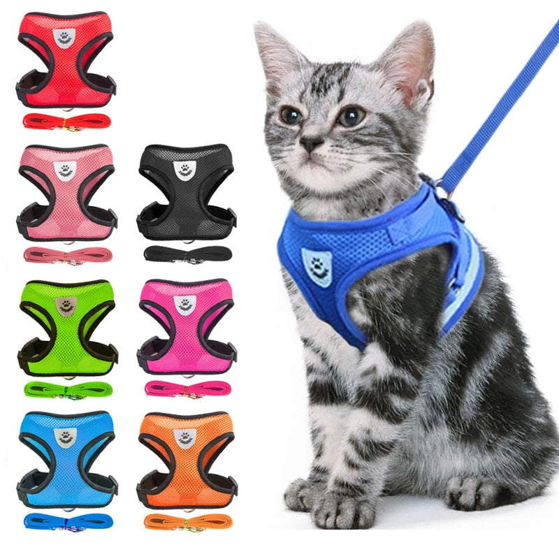 Anti-Escape Cat Collar