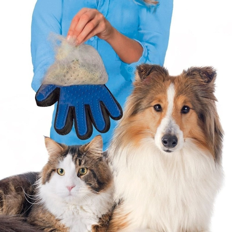 Cat grooming glove
