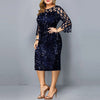 Plus Size Women Dress