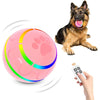 Remote Control Dog Balls