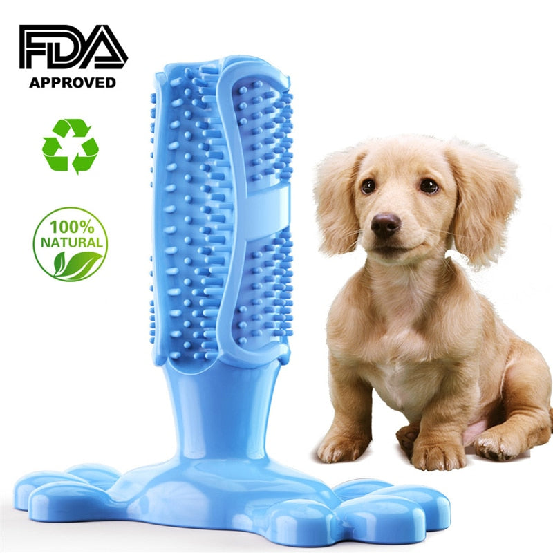 Dog Cactus Rubber Chew Toys