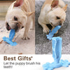 Load image into Gallery viewer, Dog Cactus Rubber Chew Toys