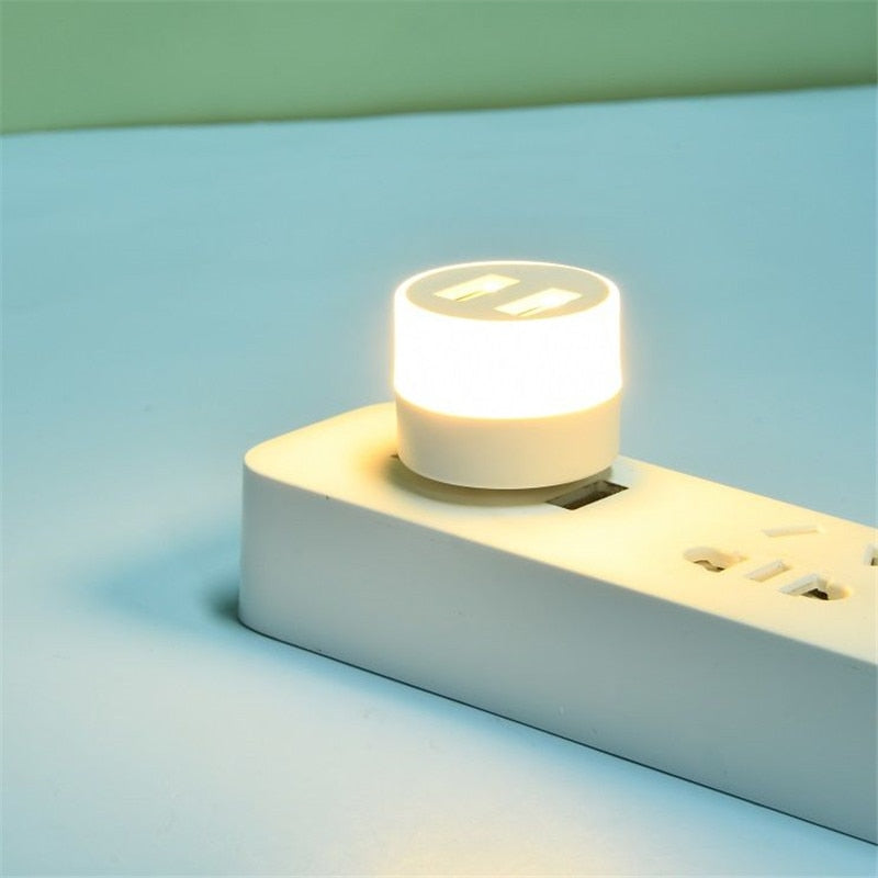 Mini USB Light Plug
