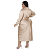 Elegant Satin Plus Size Women Shirt Dress